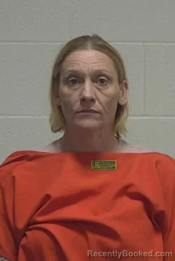 Mugshot of BRANDIE NICOLE WILLIAMS