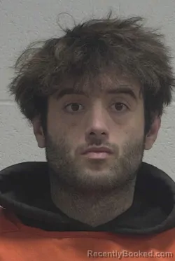 Mugshot of ALEC MICHAEL PINE