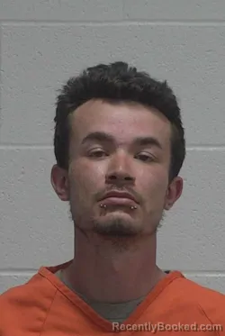 Mugshot of ADAM MCCULLEN DAVIS