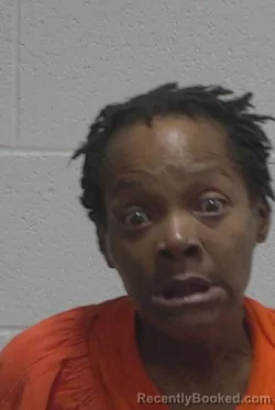 Mugshot of KATRINA DANIELLE HORTON booked in Wayne County, North Carolina on March 13, 2026