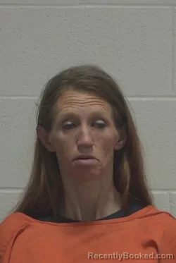 Mugshot of AMANDA ELLEN VANN booked in Wayne County, North Carolina on March 26, 2026