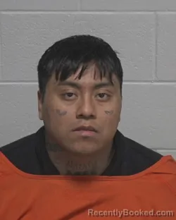 Mugshot of DENILSON SUBUYUC COROY booked in Wayne County, North Carolina on March 20, 2026