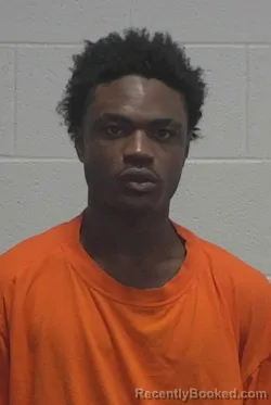 Mugshot of JAIMEAR TYSHAWN LOFTON booked in Wayne County, North Carolina on July 30, 2026