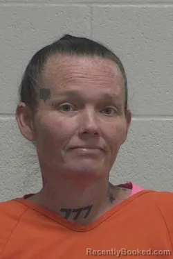 Mugshot of MICHELE LEE WILLS booked in Wayne County, North Carolina on March 13, 2026