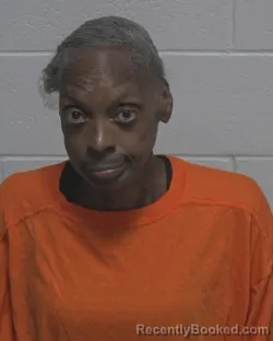 Mugshot of YOLANDA FERETT RUDOLPH booked in Wayne County, North Carolina on May 29, 2026