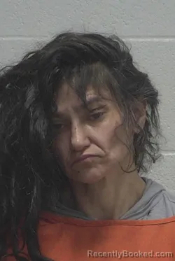 Mugshot of AMANDA ROSE NEWSOME