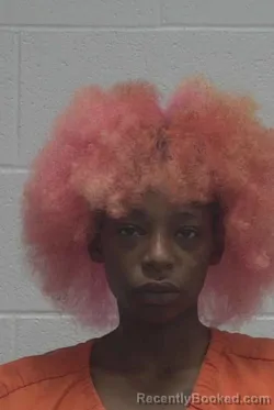 Mugshot of NAKIA LACHELLE GADDY booked in Wayne County, North Carolina on July 13, 2026