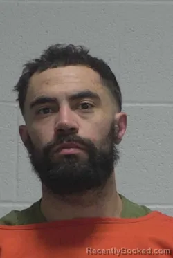 Mugshot of ANDREW MITCHELL DAVIS