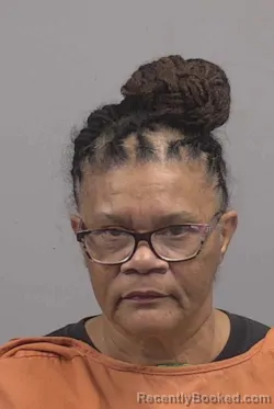 Mugshot of BRENDA HARRIS booked in Wayne County, North Carolina on July 26, 2026