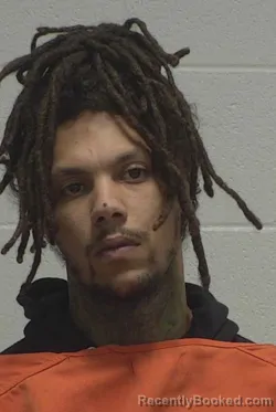 Mugshot of DAVIES DRAGON L WHITAKER