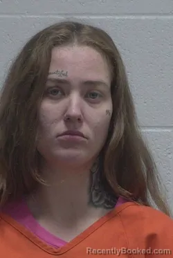 Mugshot of KOURTNEY NICOLE SMITH booked in Wayne County, North Carolina on March 13, 2026