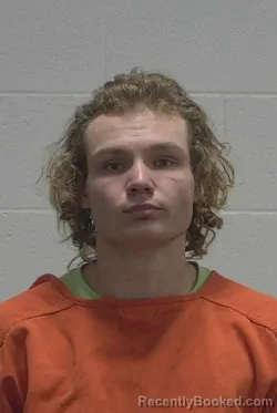 Mugshot of LANDON PHILLIP DEAL