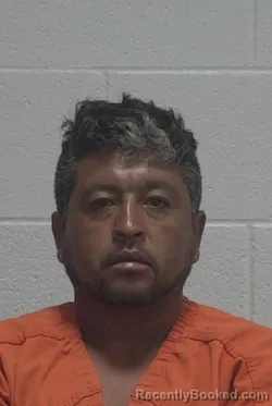 Mugshot of Marcelo Bahena Martinez booked in Wayne County, North Carolina on August 20, 2026