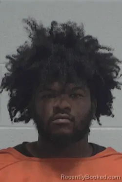 Mugshot of AMAREION JARVAIS STOKES booked in Wayne County, North Carolina on July 8, 2026