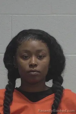 Mugshot of DIAMOND ANIYA BRITT booked in Wayne County, North Carolina on March 29, 2026