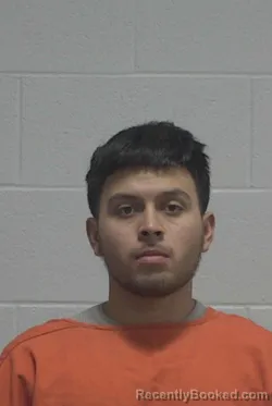 Mugshot of MAURICIO ANTONIO ALONZO booked in Wayne County, North Carolina on March 24, 2026