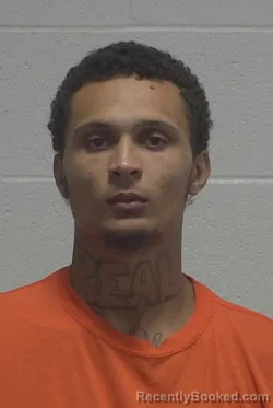 Mugshot of Jailyn Andrew Jackson booked in Wayne County, North Carolina on September 15, 2026