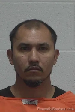 Mugshot of NATIVIDAD DE JESUS ARGUETA DIAZ booked in Wayne County, North Carolina on March 15, 2026