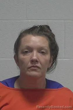 Mugshot of MELISSA DAWN VANDIFORD booked in Wayne County, North Carolina on July 22, 2026