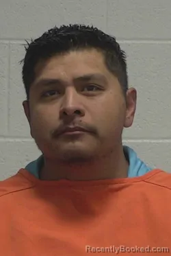 Mugshot of FERNANDO RAMIREZ