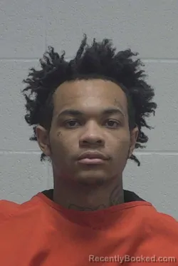 Mugshot of WANTEE TAWAN BROWNEE booked in Wayne County, North Carolina on March 17, 2026