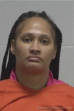 Mugshot of JAMILA MICHELLE MCDANIEL