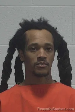 Mugshot of TERRENCE LAMONTE ROUSE booked in Wayne County, North Carolina on March 17, 2026