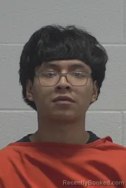 Mugshot of ALEX ADOLFO DOMINGO booked in Wayne County, North Carolina on May 23, 2026