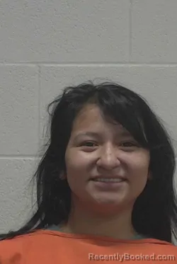 Mugshot of LILIANA SIERRA-CARACHURE booked in Wayne County, North Carolina on April 4, 2026