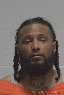 Mugshot of BRIAN ANTHONY POWELL