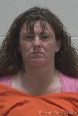 Mugshot of TINA MICHELLE JOHNSON