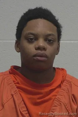 Mugshot of CHRISTINA SONAN