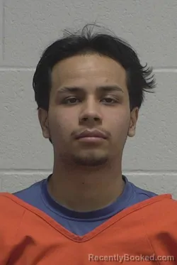 Mugshot of JESUS RODRIGUEZ