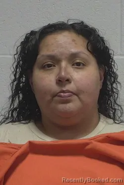 Mugshot of LIZA YANETH GARCIA