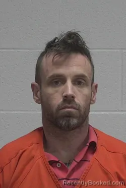 Mugshot of JOSHUA ALLAN JOHNSON