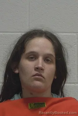 Mugshot of AMBER JONES booked in Wayne County, North Carolina on March 14, 2026