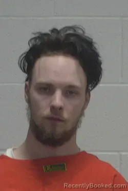 Mugshot of LAYNE ERWIN DILLION