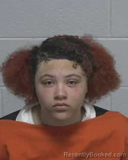 Mugshot of LEAHA HAMLIN-SLAPPER booked in Wayne County, North Carolina on March 22, 2026