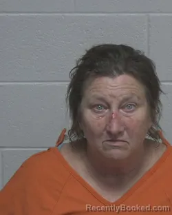 Mugshot of KIMBERLY LYNN PINION booked in Wayne County, North Carolina on March 24, 2026