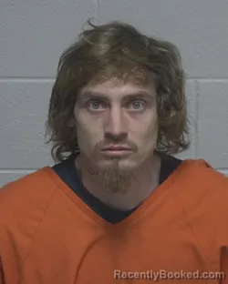 Mugshot of ALEX REED FAULKER booked in Wayne County, North Carolina on March 27, 2026