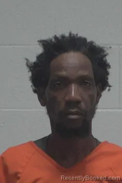 Mugshot of JUNIOR DANESTOIR booked in Wayne County, North Carolina on March 28, 2026