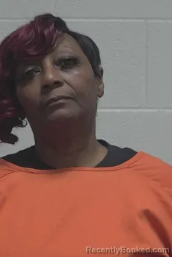 Mugshot of ANNETTE ELLIS LUCAS booked in Wayne County, North Carolina on April 5, 2026