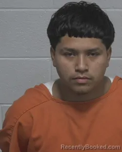 Mugshot of YEISON DANIEL MORALES BARTOLON booked in Wayne County, North Carolina on April 26, 2026