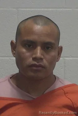 Mugshot of EDILZAR EVELIO MENDEZ booked in Wayne County, North Carolina on May 26, 2026