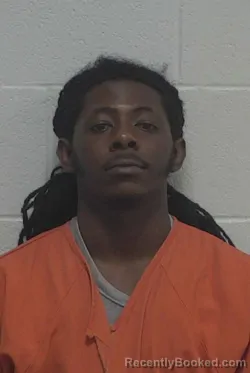 Mugshot of KENDRICK LAMAR ARTIS booked in Wayne County, North Carolina on June 25, 2026