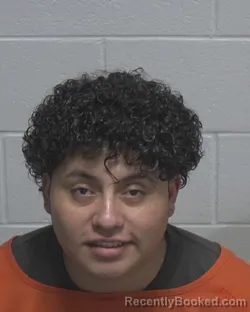 Mugshot of ORLANDO GONZALEZ-VELASQUEZ booked in Wayne County, North Carolina on July 25, 2026