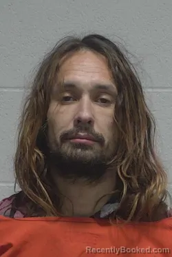 Mugshot of STEPHEN ROBERT LEWIS booked in Wayne County, North Carolina on March 14, 2026