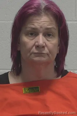 Mugshot of MARY ELLEN PURVIS booked in Wayne County, North Carolina on May 26, 2026
