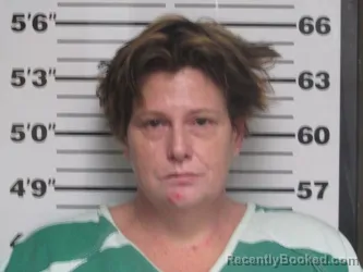 Mugshot of CRYSTAL LYNN LEFLER booked in Bollinger County, Missouri on March 22, 2026