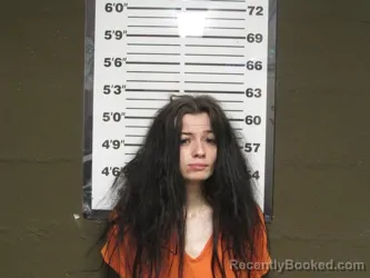 Booking photo from Bollinger County, Missouri
